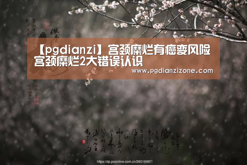 【pgdianzi】宫颈糜烂有癌变风险 宫颈糜烂2大错误认识(图1) 【pgdianzi】宫颈糜烂有癌变风险 宫颈糜烂2大错误认识(图1)