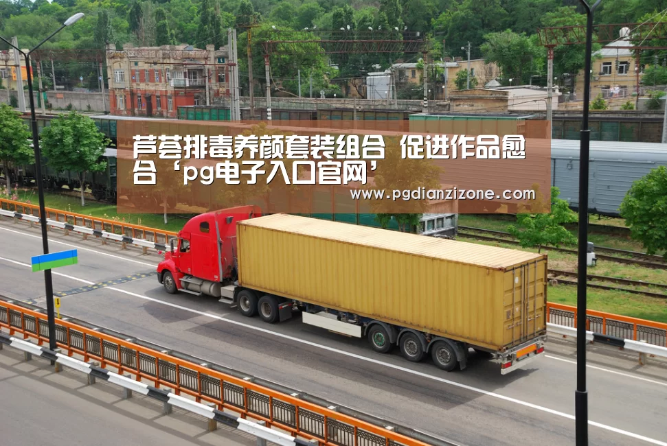 pg电子入口官网