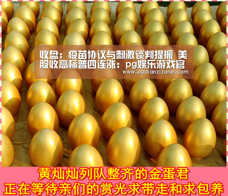 pg电子入口官网