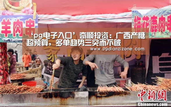 pg电子入口官网