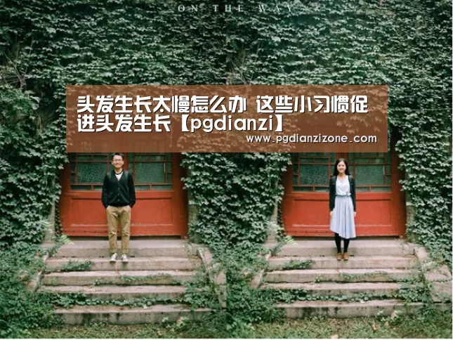 pg电子入口