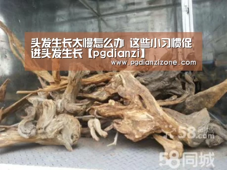 pg娱乐游戏官网